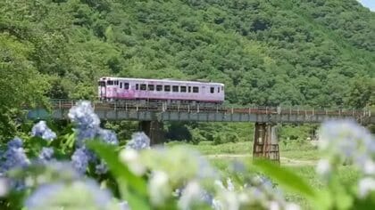 【てつたま】「津山まなびの鉄道館」で蒸気機関車の「旅立ちの汽笛」を体験…津山の郷土料理を堪能します！
