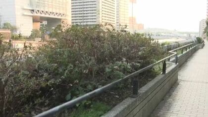 【速報】大阪の街中で「ごみ袋から肉の塊のようなもの」遊歩道に損壊された遺体発見　警察が捜査開始