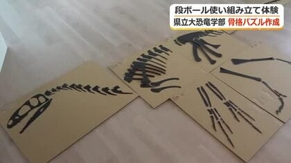 恐竜の“仕組み”パズルで学ぼう　福井県立大学恐竜学部が段ボール製の骨格パズル監修　フクイラプトルなど3種類　市販も予定