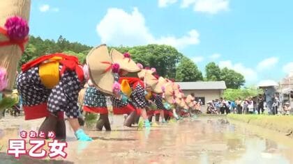 「信原田楽大花田植」華やかに行われる　幕末のころから伝わる伝統行事　広島・三次市三和町