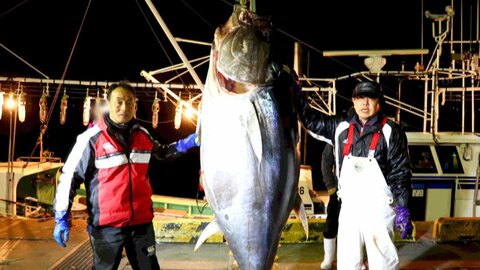 3億3360万円の史上最高値の“一番マグロ”釣り上げた「大間の最強漁師」藤枝亮一さんが行方不明に　青森・津軽海峡でマグロ漁船転覆　船員1人死亡