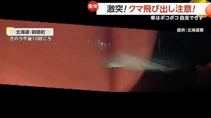 クマと激突した瞬間
