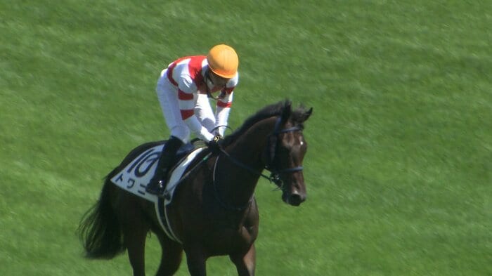 未勝利戦を制したトワニ