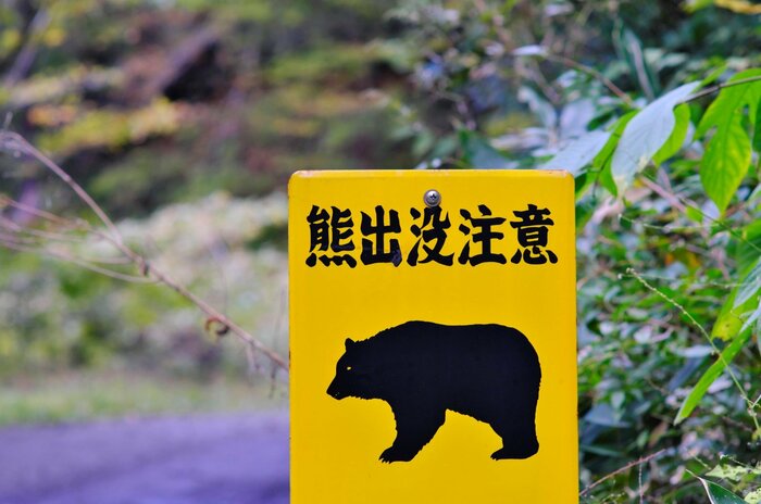 (イメージ)