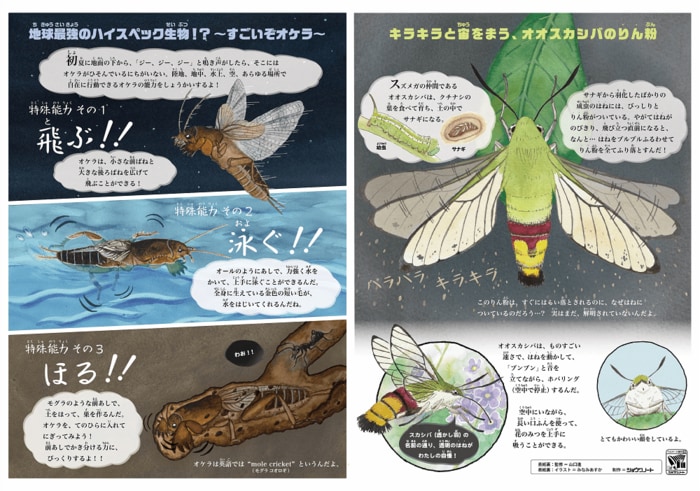 表紙裏のイラスト 提供:ショウワノート