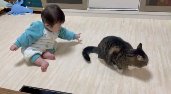 一瞬の隙を逃さず…