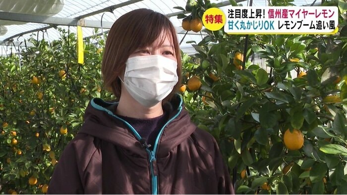 ヤナギファーム・柳坪美紀さん