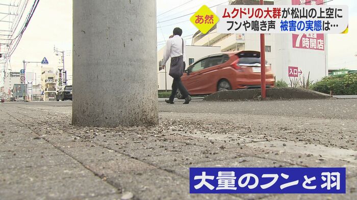 フンで汚された道も