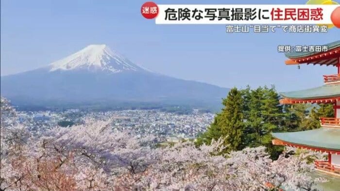 近くには桜と五重塔と富士山のコラボレーションが見られるスポットも