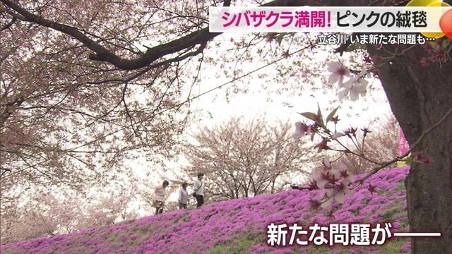 この美しい景色のどこに問題があるのか…