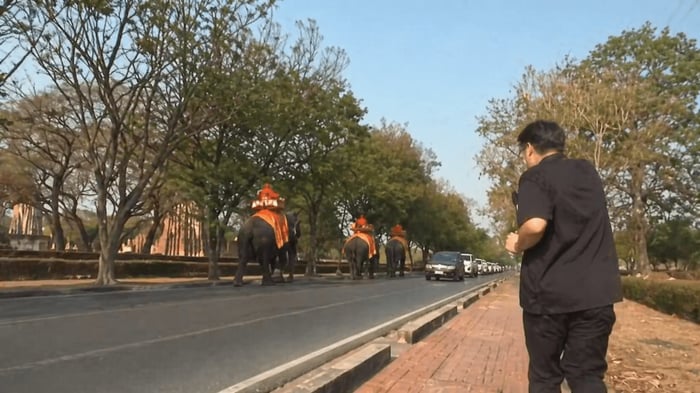 移動するゾウを追う記者「走ってもなかなか追いつかないくらい速い」