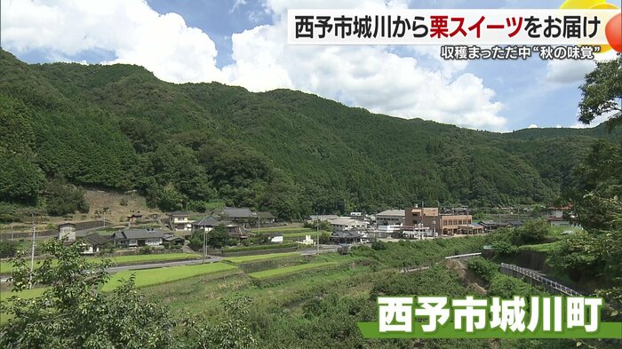 栗の名産地、城川町