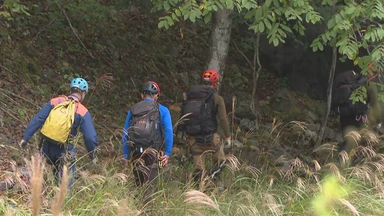 キノコ採り遭難相次ぐ　10月に入り2人死亡　6件発生…全員70代以上　滑落、道迷い、クマに襲われたケースも　「単独で入山しない」など警察が注意呼びかけ｜FNNプライムオンライン