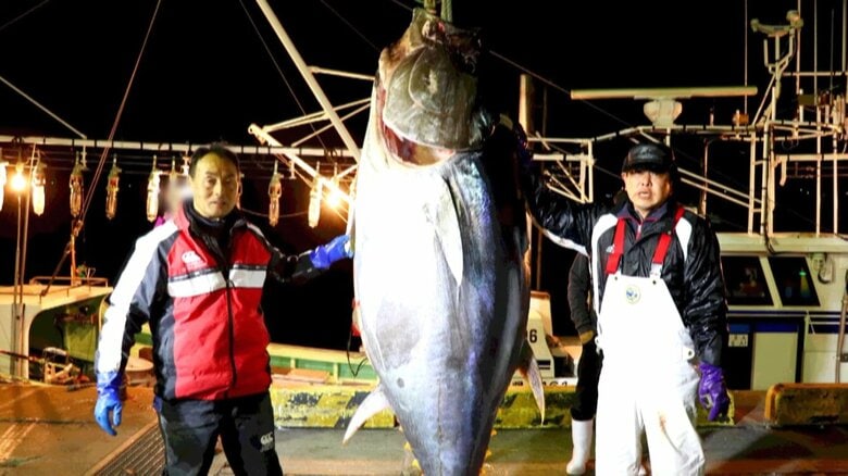 3億3360万円の史上最高値の“一番マグロ”釣り上げた「大間の最強漁師」藤枝亮一さんが行方不明に　青森・津軽海峡でマグロ漁船転覆　船員1人死亡｜FNNプライムオンライン