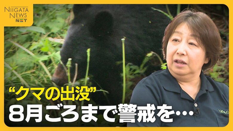 木登りも泳ぎも得意…クマに遭遇した際の対処法は？“クマの出没”8月ごろまで警戒を「ブナやドングリ実るまでエサがない」｜FNNプライムオンライン
