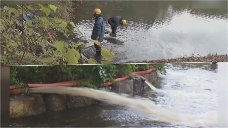 特定外来生物の駆除で注目 “池の水全部抜く”はどうやって抜くのか？ 方法・費用・期間を専門家に聞いた｜FNNプライムオンライン