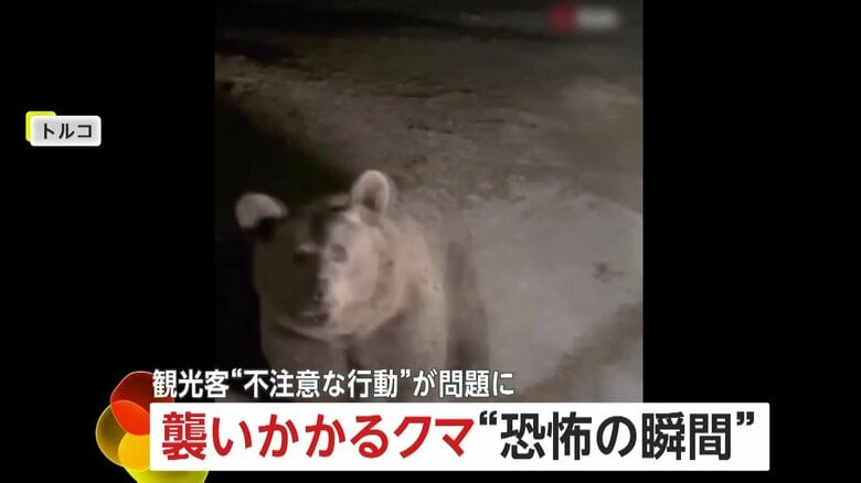 「閉めて！閉めて！閉めて！」クマが車に襲いかかる“恐怖の瞬間”　人気観光地で餌あげようと近づき…撮影目的の接近に注意喚起　トルコ｜FNNプライムオンライン