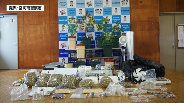 トクリュウの関与も視野に捜査　大麻を栽培・所持・譲り受けた疑い　宮崎市の運送作業員の男ら６人を逮捕｜FNNプライムオンライン
