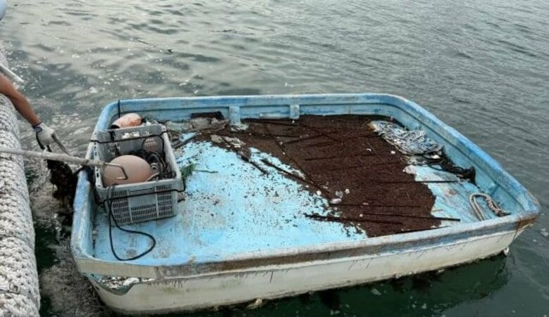 【注意】瀬戸内海でカキ養殖いかだなど漂流…台風通過後の海に漂流物　事故防止で海保が注意喚起【岡山】｜FNNプライムオンライン