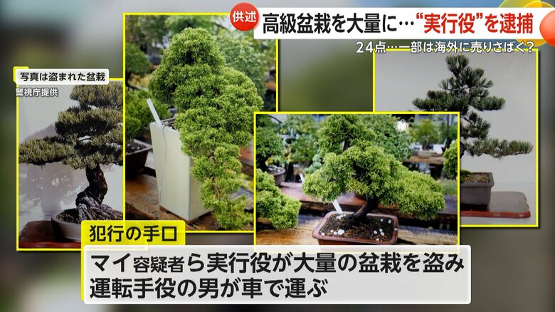 「朝来たらごっそりと…」高級盆栽大量に盗んだか　“実行役”ベトナム国籍の21歳男逮捕　一部は海外に売られた可能性　東京・昭島市｜FNNプライムオンライン
