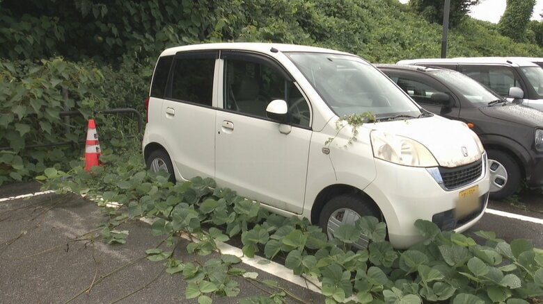 新幹線駅駐車場に長期間車両を放置、「苔むした車輪」や「ヒビ入りガラス」など車8台…3年半以上放置も　黒部市が所有者を相手取り駐車場明け渡し求める訴訟へ｜FNNプライムオンライン