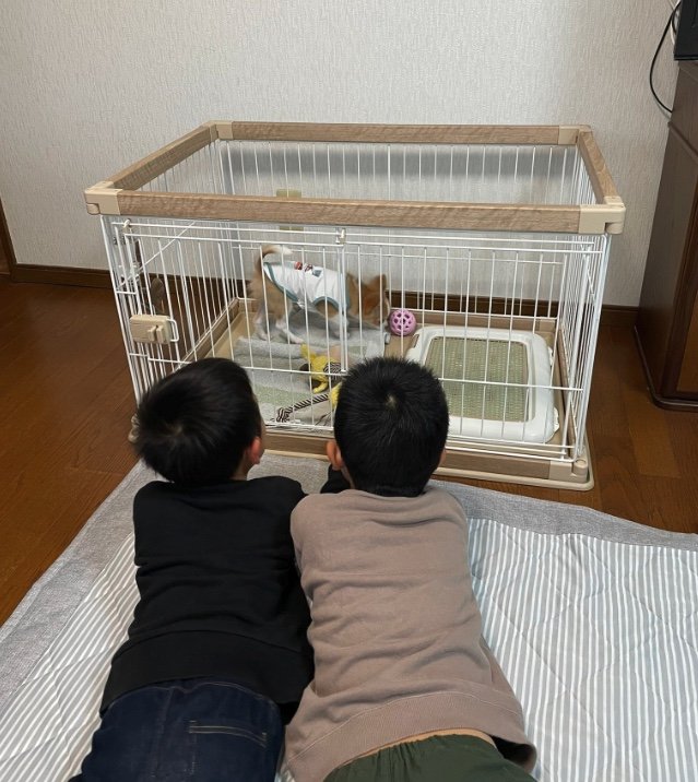 提供：ふくのすけさん