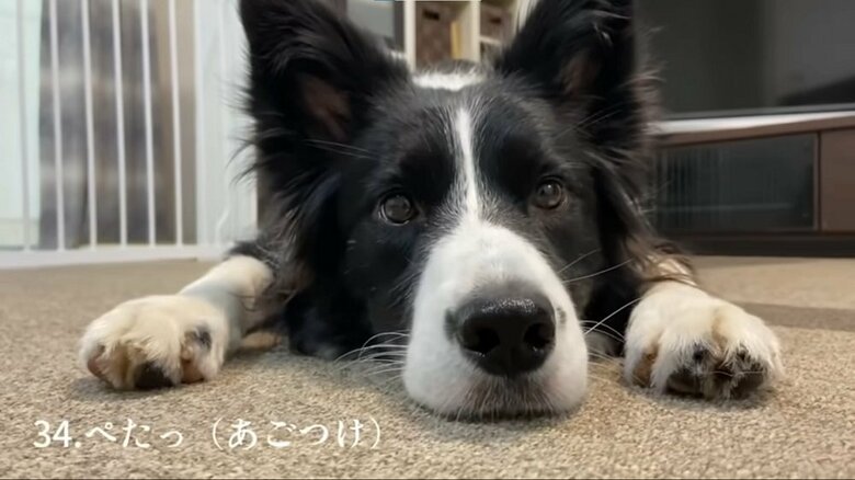 ぺたっ（あごつけ）