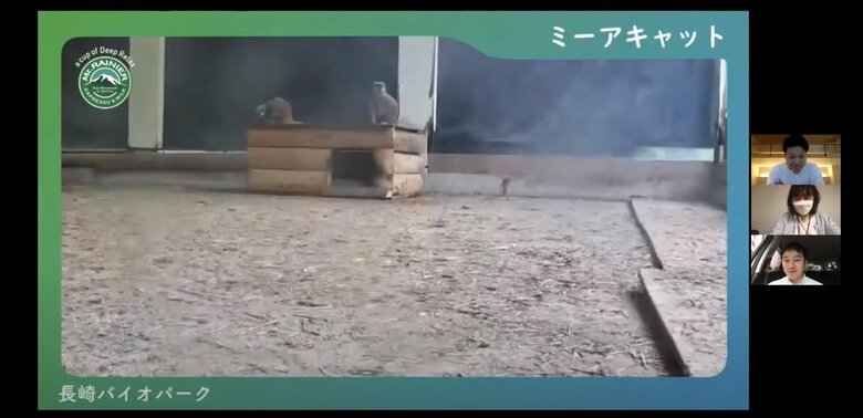 実際のZOOm画面。ミーアキャットを招待中