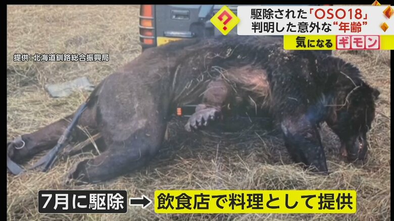 人知れず駆除され、飲食店で、料理として提供されていた“OSO18”