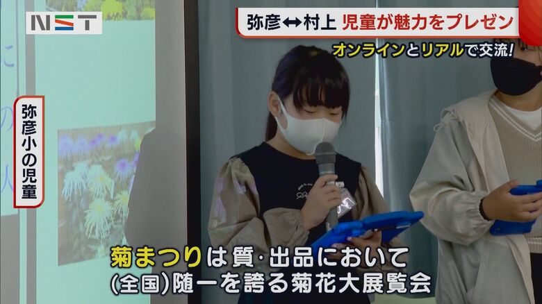弥彦小学校の児童　「菊まつり」について説明