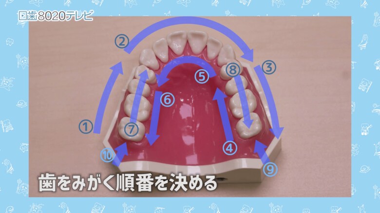 出典：日本歯科医師会ＨＰ内の日歯8020テレビ 「ウィズコロナ時代の歯のみがき方　口を閉じてみがきましょう」