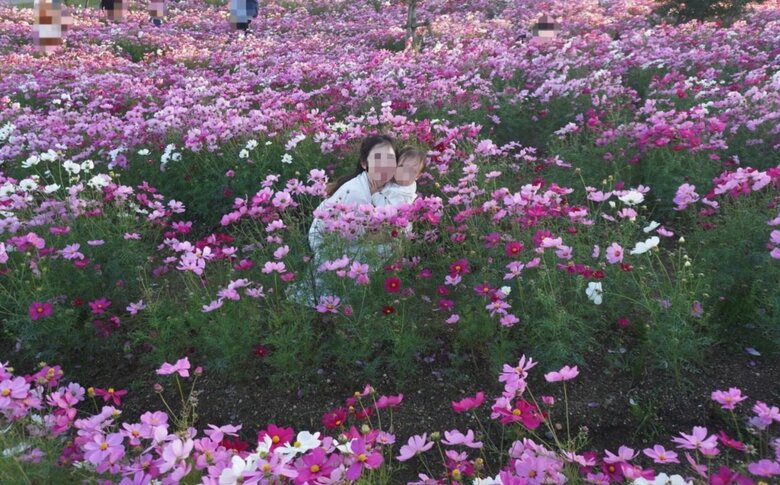 旦那さんが撮影したお気に入りの写真（提供：さっぴさん）