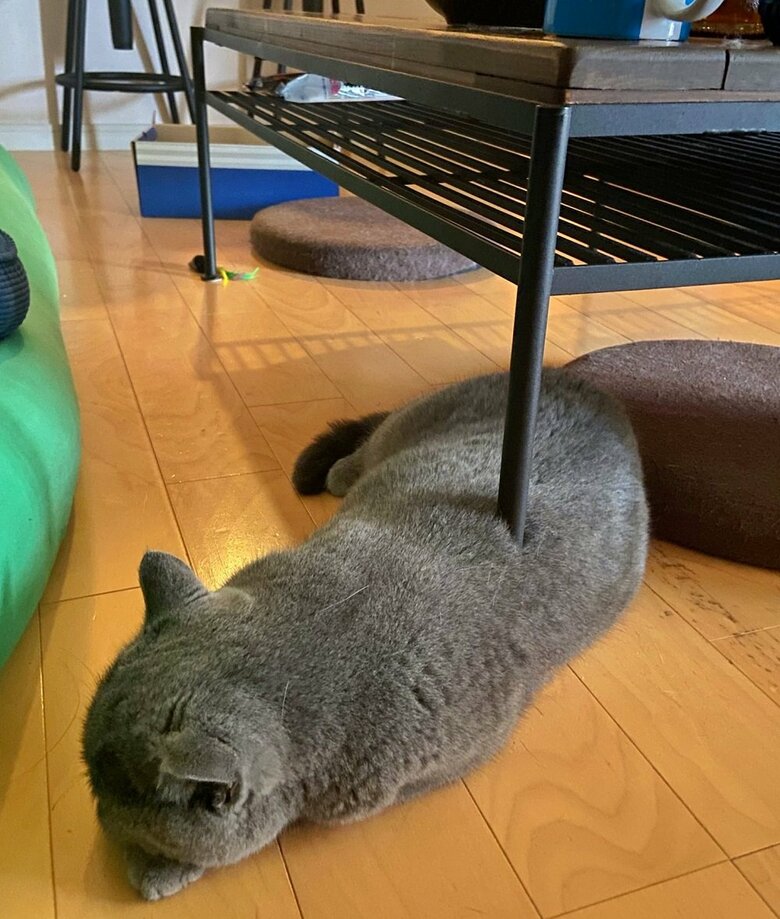 テーブルの脚が貫通！？