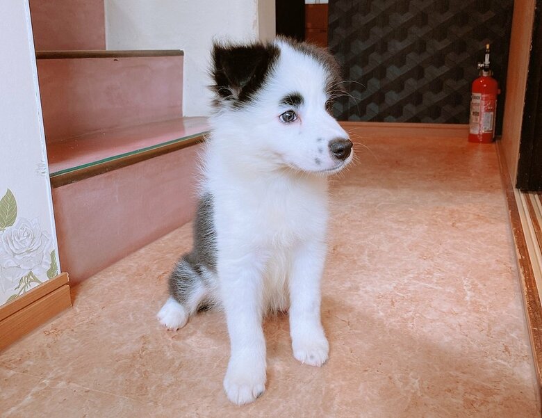 生後2カ月の時からハッキリ“眉毛”がある