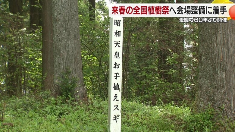 昭和天皇と香淳皇后の両陛下がスギの木を３本ずつお手植え