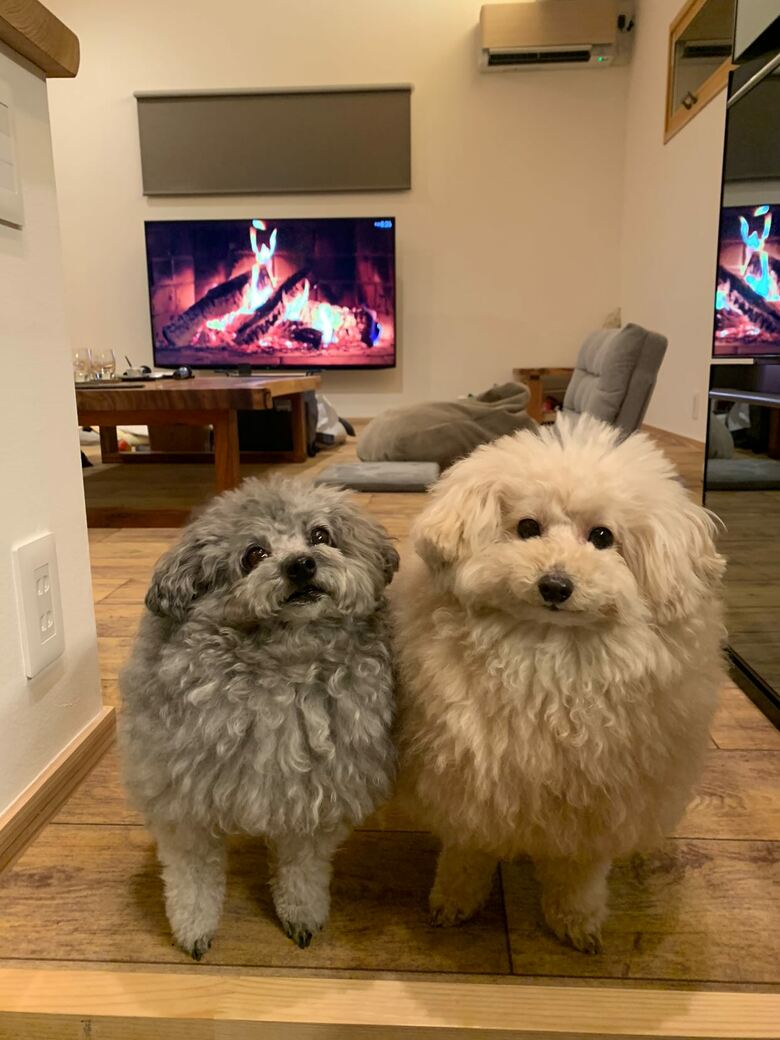 提供：＠tsuru_323さん