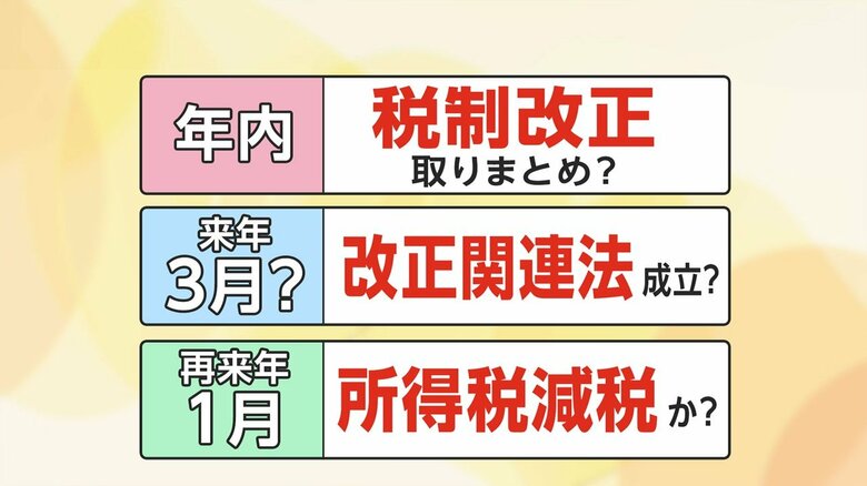 例年の税制改正での流れだと2025年3月ごろに改正関連法が成立する見通し