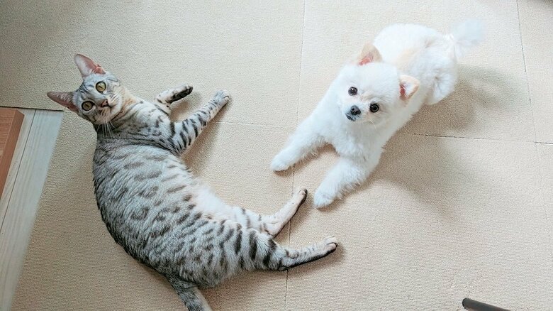 のんびり
