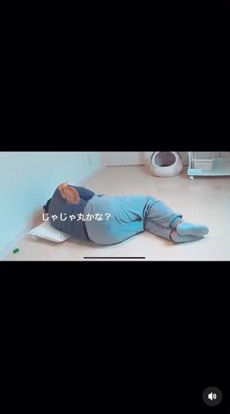 提供：oimo & yuzukiさん