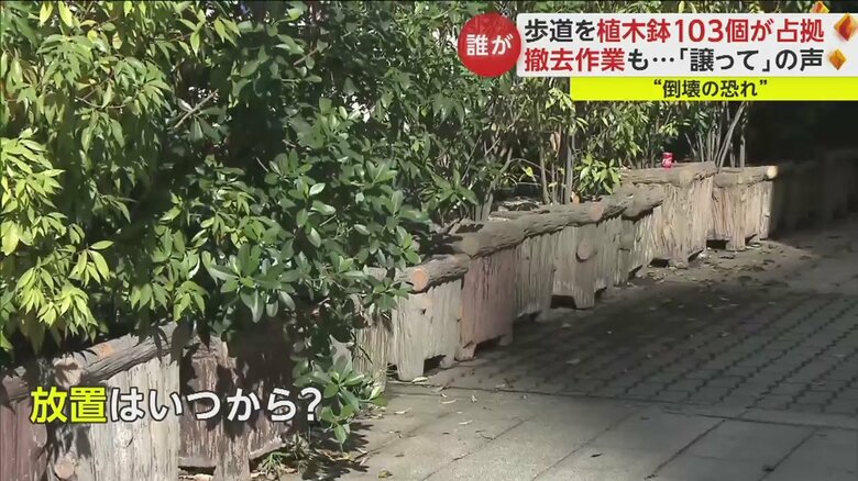 植木鉢に遮られ、車道と歩道の間は見通せない