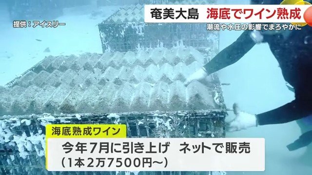 水深20mで熟成したワインを7月公開へ
