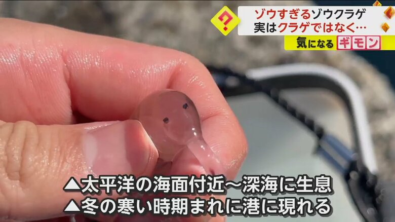 （映像提供：「あらかわちゃんねる」さん）