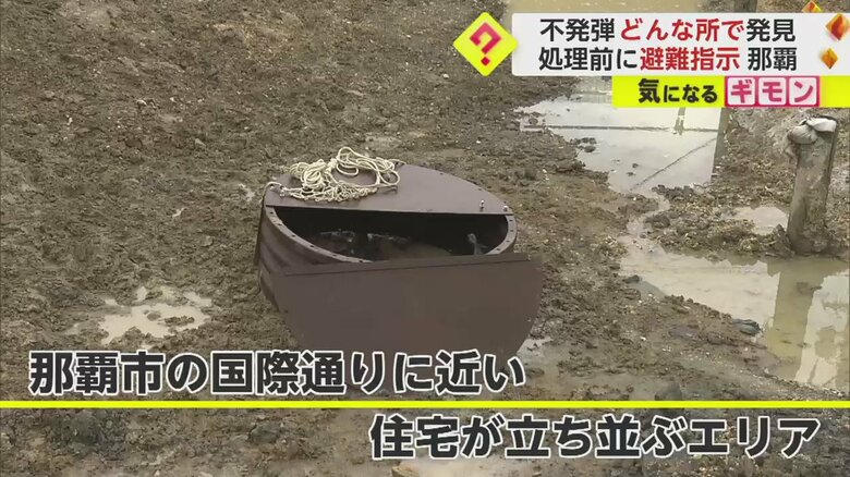 那覇市の国際通り近くの住宅地で発見