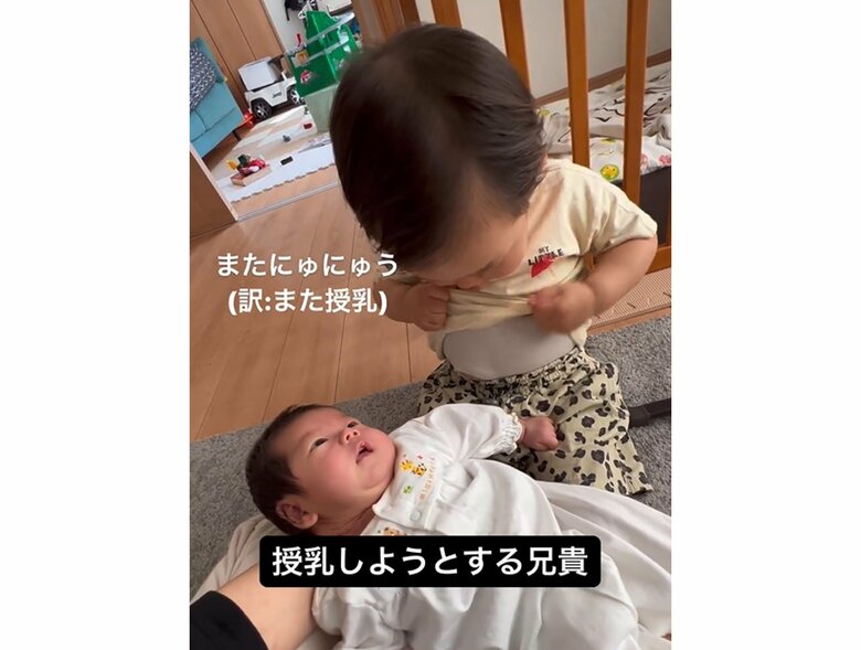 提供：＠zen_pokoさん