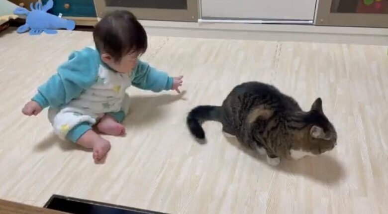 一瞬の隙を逃さず…