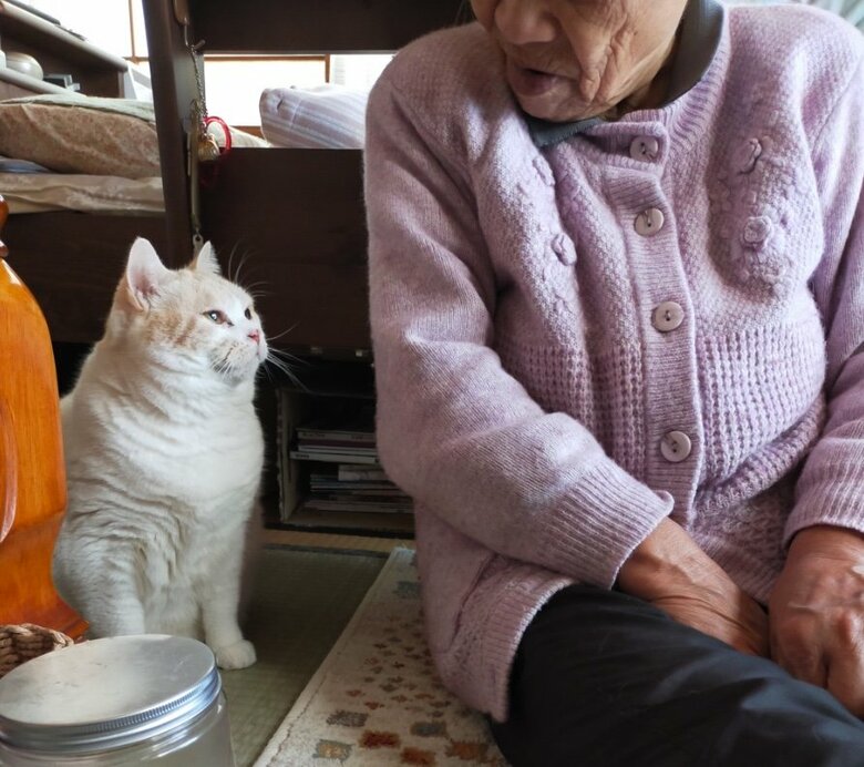 提供：まさまささん