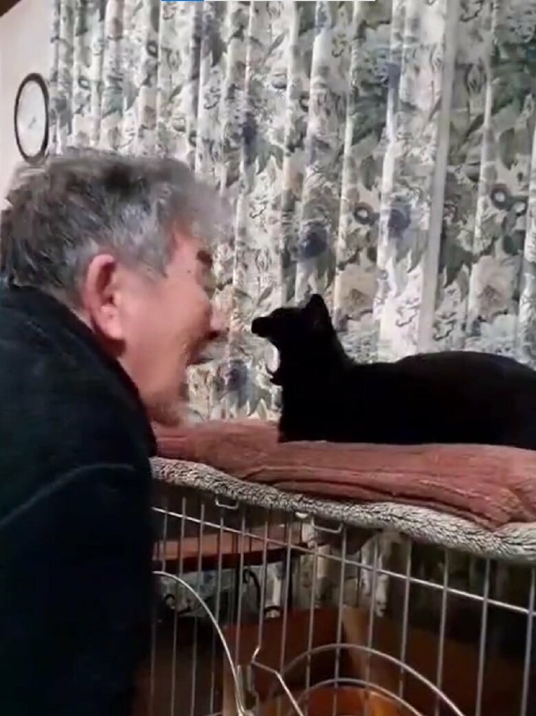 あくびするルルちゃんに対抗して大きく口を開ける父親