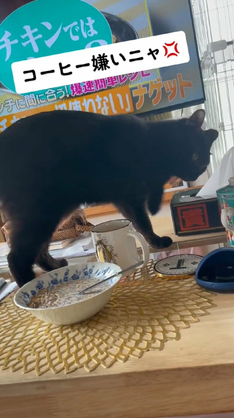 コーヒーはダメなようで…