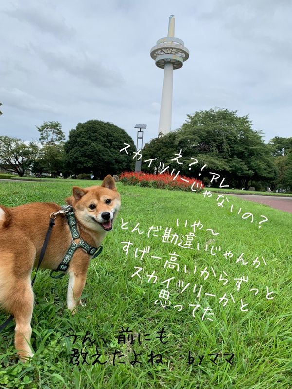 提供：kurararara4466さん