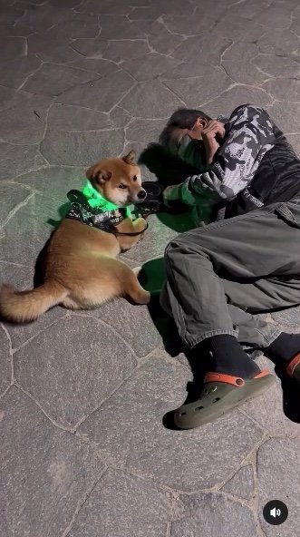 提供：カンさん